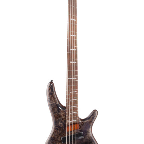 Ibanez Bass Workshop SRMS805 Multiscale Deep Twi