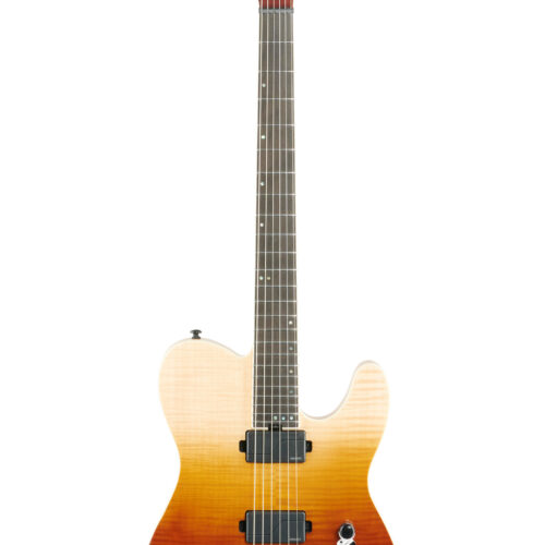 Schecter PT SLS Elite EG Antique Fade Burst