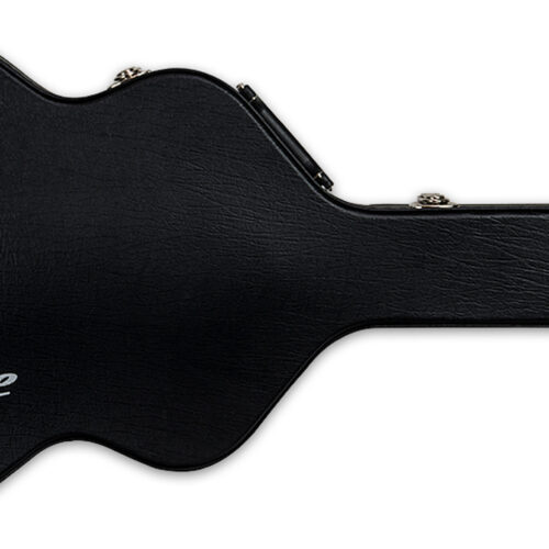 Takamine G Series Jumbo Acoustic Guitar Case Black