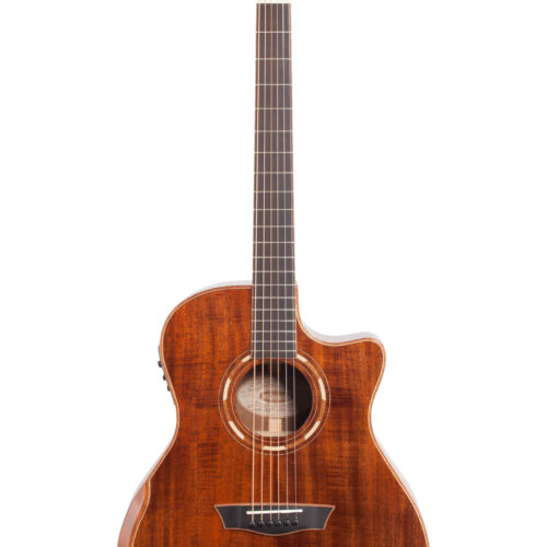 Washburn WCG55ce O Deluxe 55 Koa G/A A/E