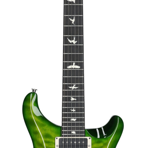 PRS S2 Custom 24 Quilt Eriza Verde with Gigbag