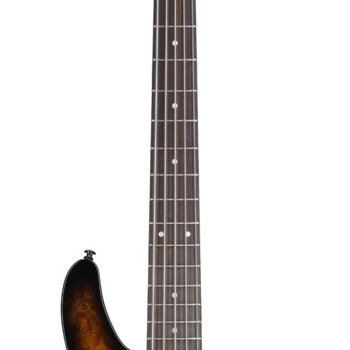 Schectger C-5 Standard Bass Tobacco Burl