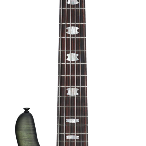 Spectro Euro 6 LX Bass with Bag Haunted Moss Matte
