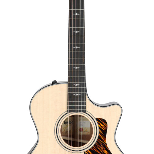 Taylor 314ce Acoustic Electric Guitar with Case