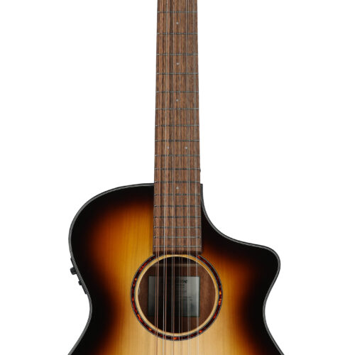 Breedlove ECO Discovery S Concert CE 12 String AE