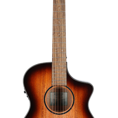 Breedlove ECO Discovery S Concert CE Mahog Edgebu