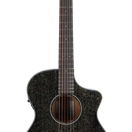 Breedlove ECO Rainforest S Concert CE Black Gold