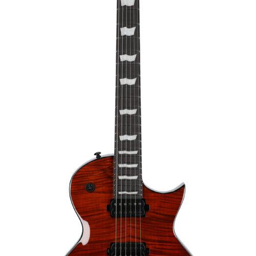 ESP LTD EC-1001FM Electric Guitar Tiger Eye