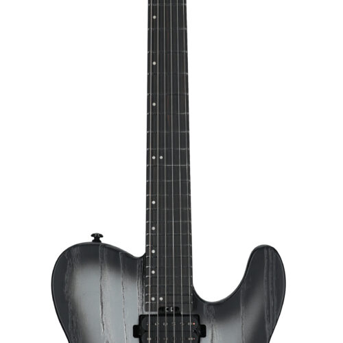 ESP LTD TE-1000 Electric Guitar Silver Blast