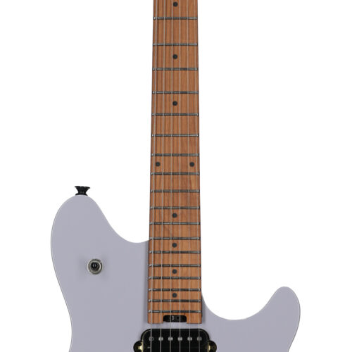EVH Wolfgang WG Stand Baked Maple Battleship Grey