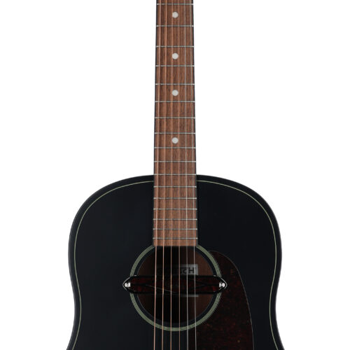 Gretsch Jim Dandy Deltoluxe Dread A/E Black Top