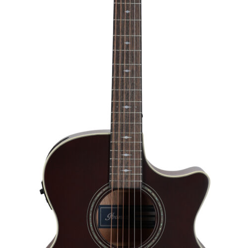 Ibanez AE100 AEG Burgundy Flat