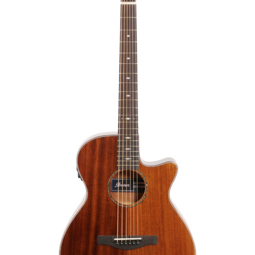 Ibanez AEG220 Ac El Guitar Natural Low Gloss