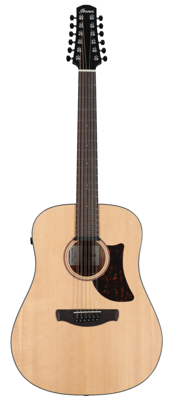 Ibanez Advanced Acoustic AAD1012E AEG Nat Open