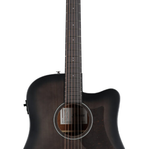 Ibanez Advanced Acoustic AAD50CE AEG Trans Char