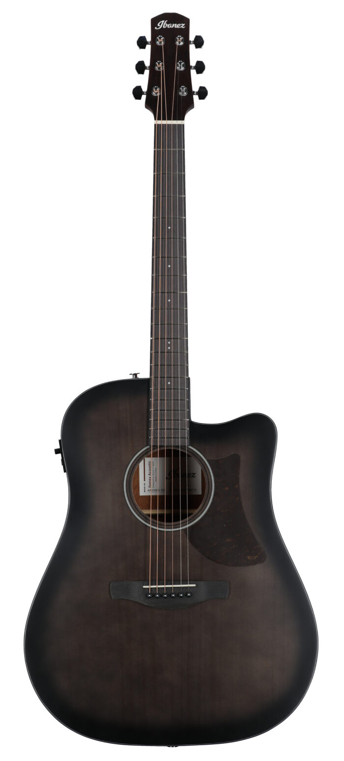 Ibanez Advanced Acoustic AAD50CE AEG Trans Char
