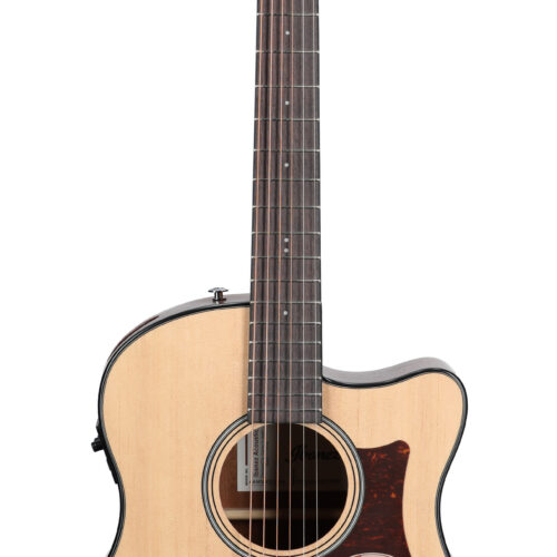 Ibanez Advanced Acoustic AAM50CE Open Pore Natural