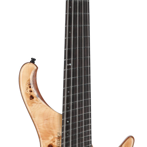 Ibanez Bass Workshop EHB1505SMS WB Florid Nat
