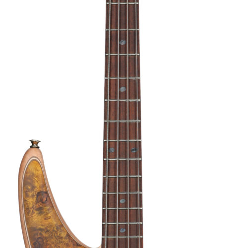 Jackson Pro Series Spectra Bass SBP IV Amber Flame