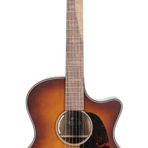 Martin GPCE Inception Maple A/E Guitar with Case
