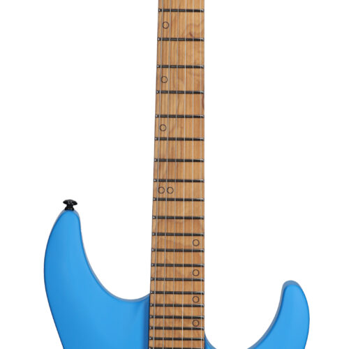 Schecter Aaron Marshall AM-6T Electric Guitar Roya