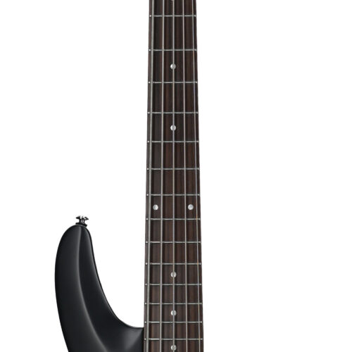 Schecter C-5 Deluxe Bass Satin Black