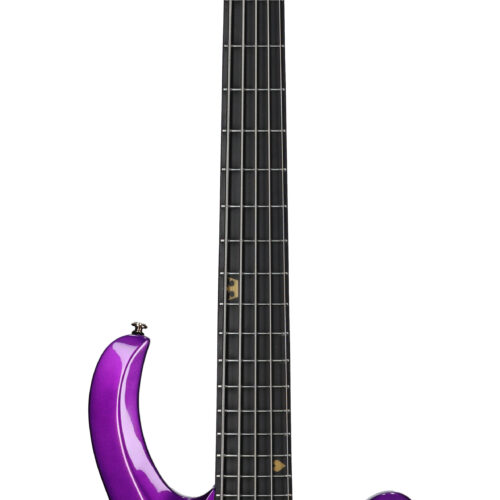 Schecter FreeZesicle 5 Bass Purple