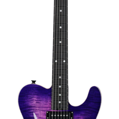 Schecter Japan PT Classic EG WC Classic Purple Bst
