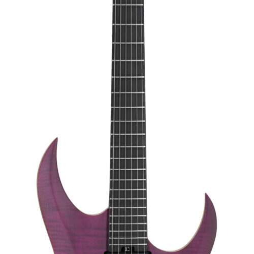 Schecter John Browne Tao-6 EG Trans Purple
