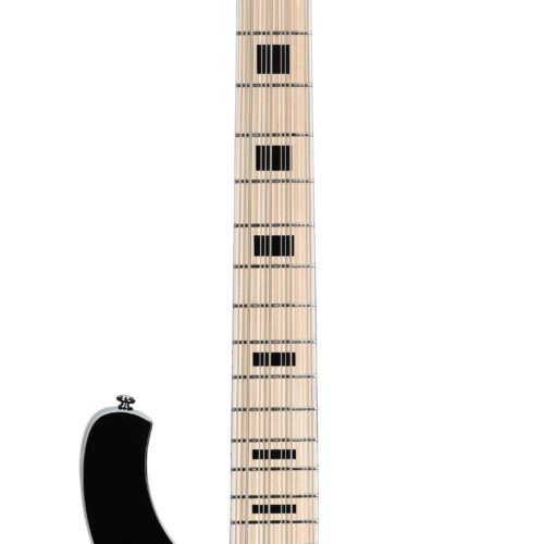 Schecter Stargazer 12 Bass Gloss Black