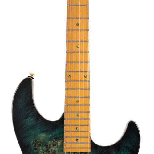Sire Larry Carlton S10 HSS EG WC Trans Green