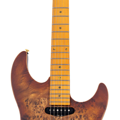Sire Larry Carlton S10 HSS ElG WC Natural Burst
