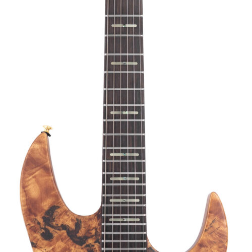 Sire Larry Carlton X10 EG WB Natural Sat
