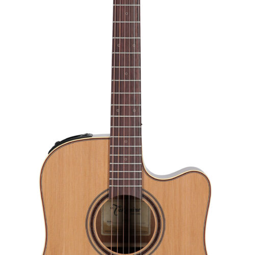 Takamine P3DC AEG WC Natural Satin