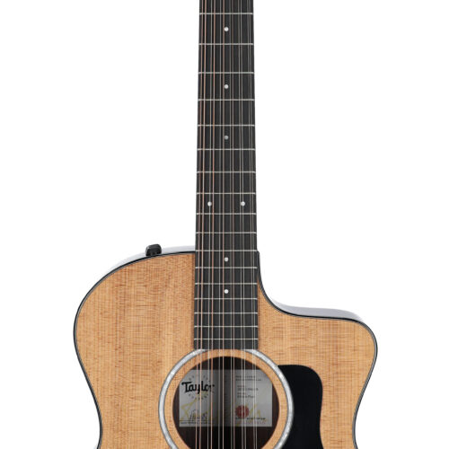Taylor 254ce Plus 12 String Grand Auditorium A/E