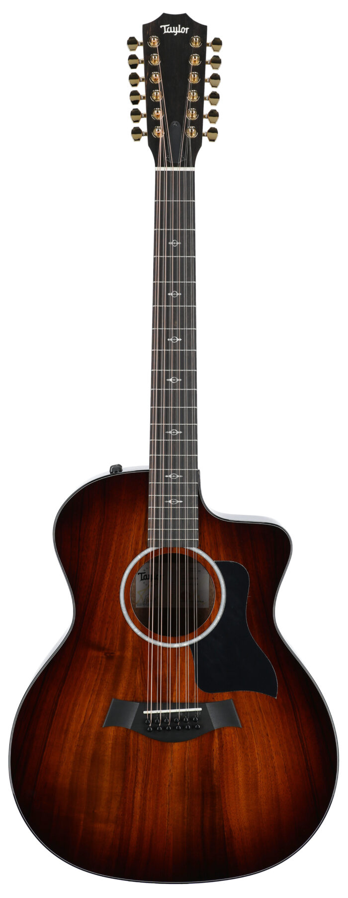 Taylor 264ce-K DLX 12 String Grand Auditorium AE