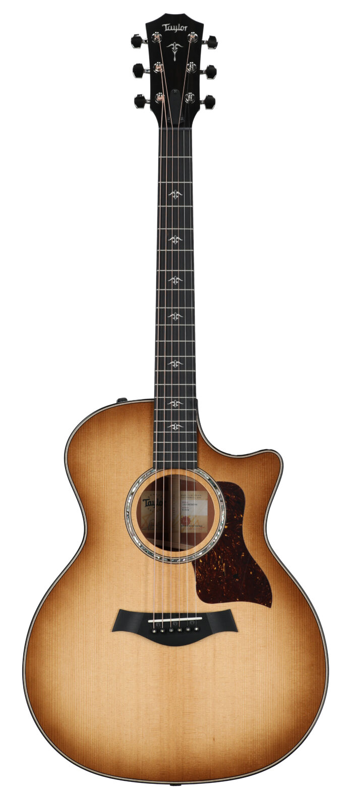 Taylor 514ce Urban Iron Bark Grand Auditorium A/E