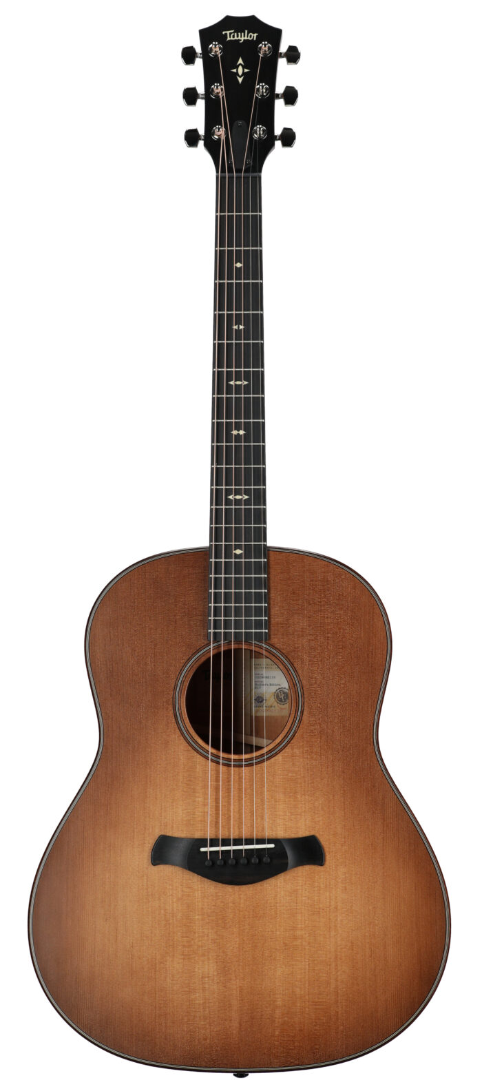 Taylor 517 Grand Pacific B/E Wild Honey Burst