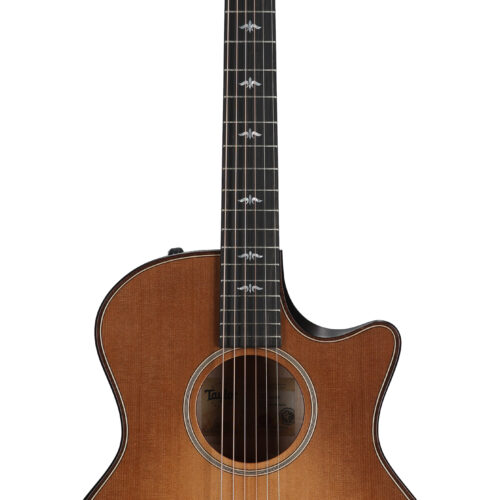 Taylor 614ce Builders Edition V Class G/A WHB