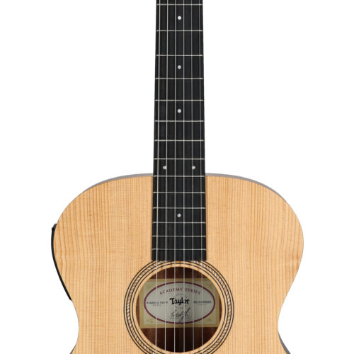 Taylor Academy 12e-N Nylon Grand Concert A/E