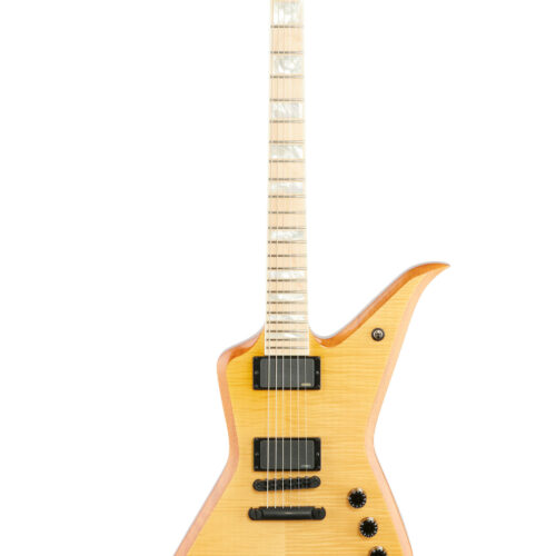 Wylde Audio Blood Eagle Electric Guitar Raw Top