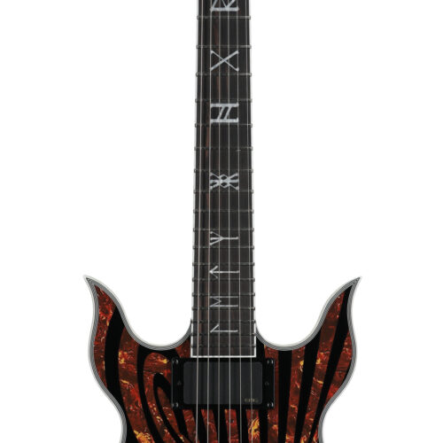 Wylde Audio Heathen Grail EG Tortoise Blk Blizzard