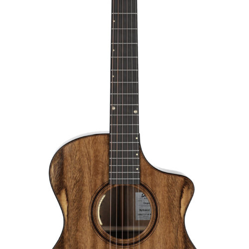Breedlove LE Oregon Concert CE Myrtle SE Special
