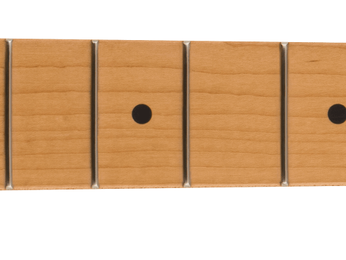 American Pro II Tele Neck