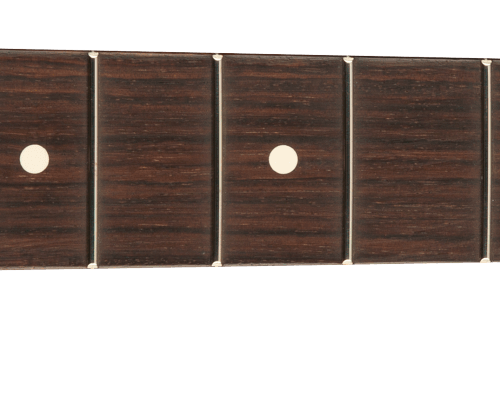 American Professional Stratocaster Neck