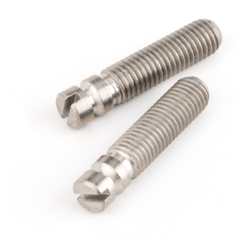 Bridge Pivot Screws (2)