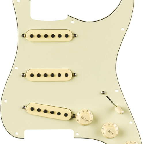 Fender EJ Pre-Wired Strat Pickgrd 11 Hole Mint Gr