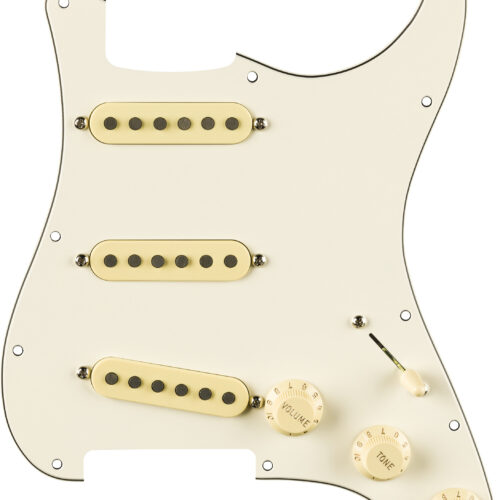 Fender EJ Pre-Wired Strat Pickguard 11 Hole Parch