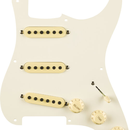 Fender EJ Pre-Wired Strat Pickguard 8 Hole Parch