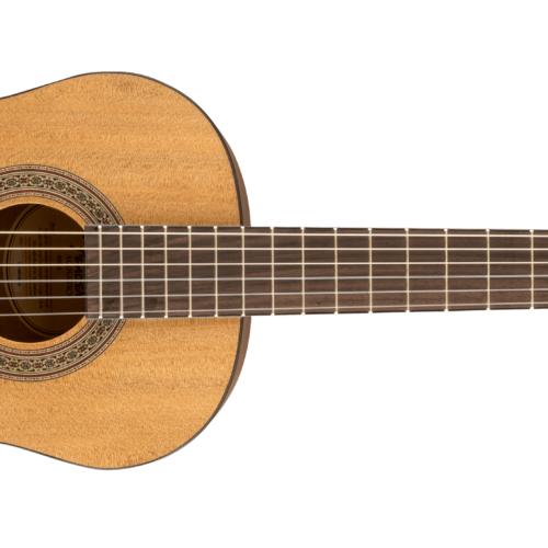 FA-15N 3/4 Nylon - Natural / Rosewood / Laminated Agathis Top with Sapele Back and Sides
